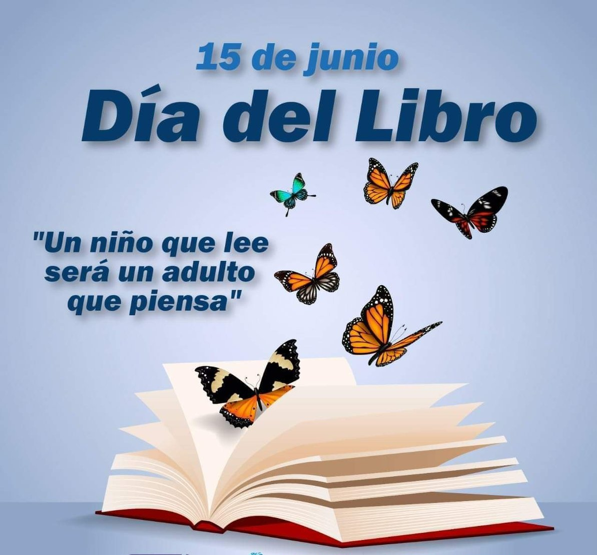 15 de Junio: Día Nacional del Libro